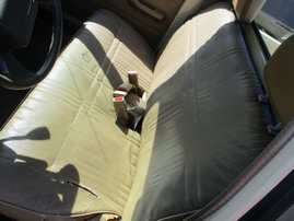 1988  MITSUBISHI MIGHTY MAX BEIGE 4CYL AT SHORT BED 153719